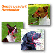Gentle Leader Halters