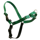 Easy Walk harness in green